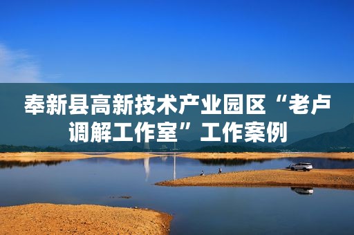 奉新县高新技术产业园区“老卢调解工作室”工作案例