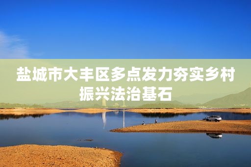盐城市大丰区多点发力夯实乡村振兴法治基石