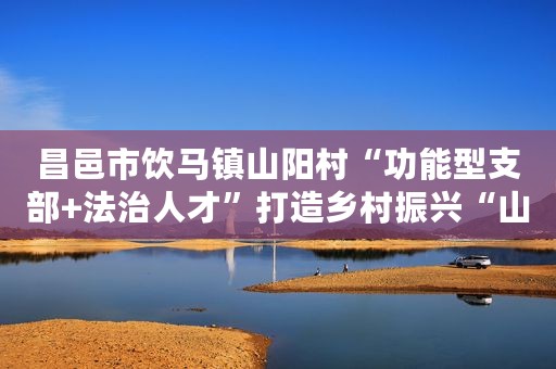 昌邑市饮马镇山阳村“功能型支部+法治人才”打造乡村振兴“山阳样板”