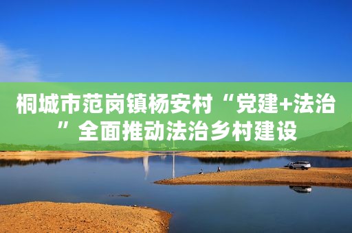 桐城市范岗镇杨安村“党建+法治”全面推动法治乡村建设