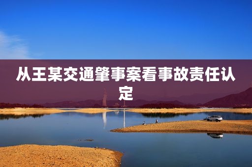 从王某交通肇事案看事故责任认定