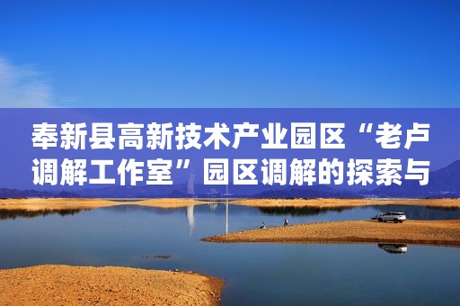 奉新县高新技术产业园区“老卢调解工作室”园区调解的探索与实践