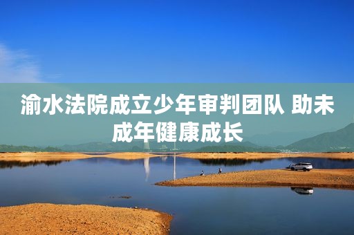 渝水法院成立少年审判团队 助未成年健康成长