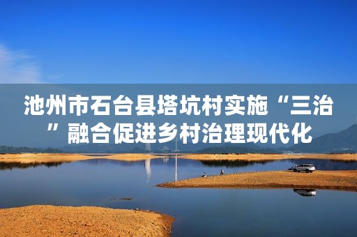 池州市石台县塔坑村实施“三治”融合促进乡村治理现代化