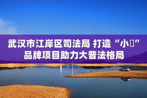 武汉市江岸区司法局 打造“小廌”品牌项目助力大普法格局