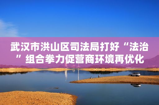 武汉市洪山区司法局打好“法治”组合拳力促营商环境再优化