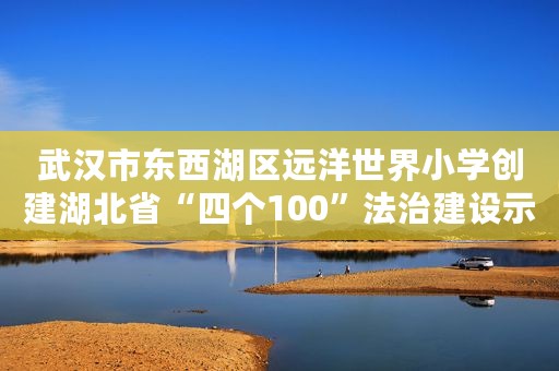 武汉市东西湖区远洋世界小学创建湖北省“四个100”法治建设示范校工作案例