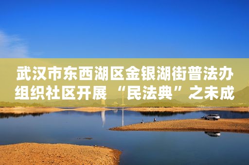武汉市东西湖区金银湖街普法办组织社区开展 “民法典”之未成年人保护普法宣讲活动