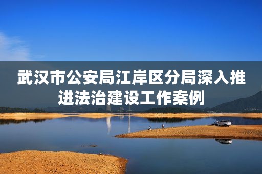 武汉市公安局江岸区分局深入推进法治建设工作案例