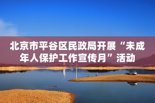 北京市平谷区民政局开展“未成年人保护工作宣传月”活动
