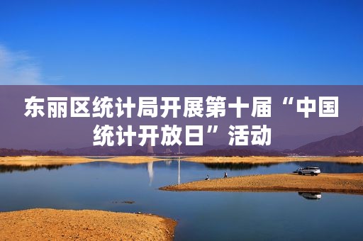 东丽区统计局开展第十届“中国统计开放日”活动