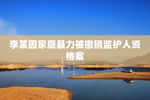 李某因家庭暴力被撤销监护人资格案