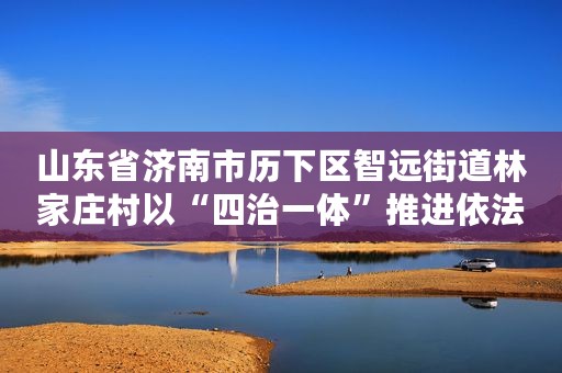 山东省济南市历下区智远街道林家庄村以“四治一体”推进依法治村