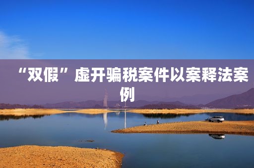 “双假”虚开骗税案件以案释法案例