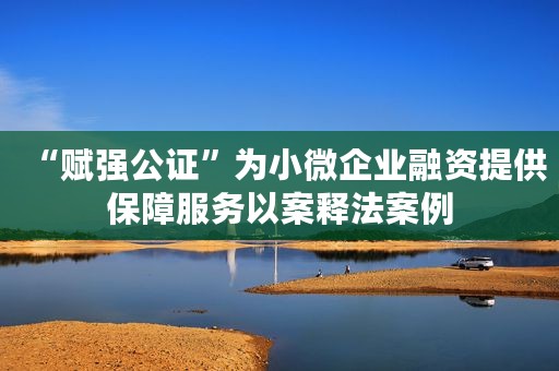 “赋强公证”为小微企业融资提供保障服务以案释法案例