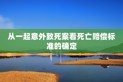 从一起意外致死案看死亡赔偿标准的确定
