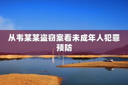 从韦某某盗窃案看未成年人犯罪预防