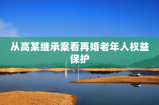 从高某继承案看再婚老年人权益保护
