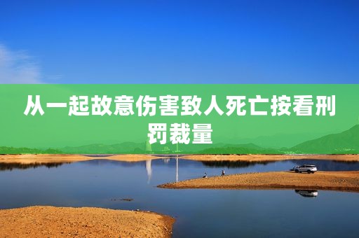 从一起故意伤害致人死亡按看刑罚裁量