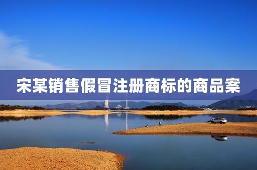 宋某销售假冒注册商标的商品案