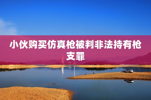 小伙购买仿真枪被判非法持有枪支罪