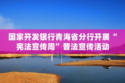 国家开发银行青海省分行开展“宪法宣传周”普法宣传活动