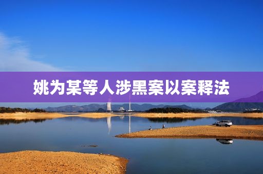 姚为某等人涉黑案以案释法