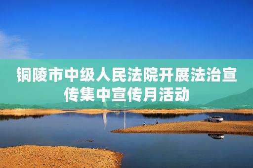 铜陵市中级人民法院开展法治宣传集中宣传月活动