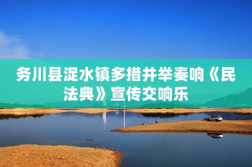 务川县浞水镇多措并举奏响《民法典》宣传交响乐