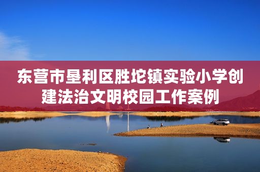 东营市垦利区胜坨镇实验小学创建法治文明校园工作案例