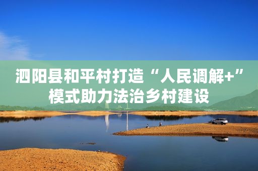 泗阳县和平村打造“人民调解+”模式助力法治乡村建设