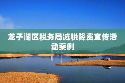 龙子湖区税务局减税降费宣传活动案例