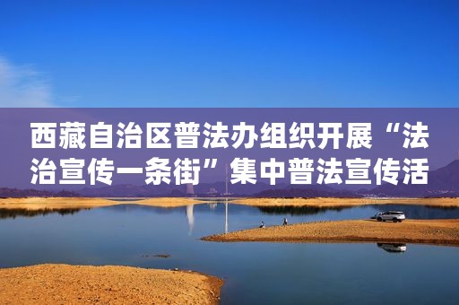 西藏自治区普法办组织开展“法治宣传一条街”集中普法宣传活动