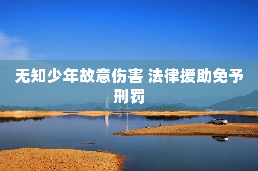无知少年故意伤害 法律援助免予刑罚