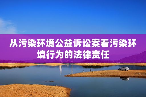 从污染环境公益诉讼案看污染环境行为的法律责任