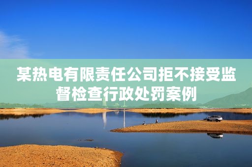 某热电有限责任公司拒不接受监督检查行政处罚案例