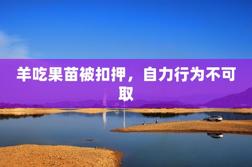 羊吃果苗被扣押，自力行为不可取