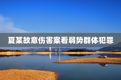 夏某故意伤害案看弱势群体犯罪