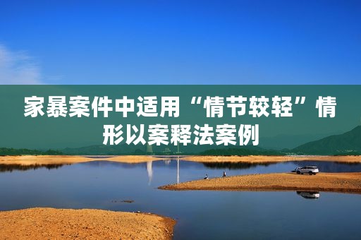家暴案件中适用“情节较轻”情形以案释法案例