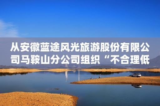从安徽蓝途风光旅游股份有限公司马鞍山分公司组织“不合理低价游”一案看旅游市场规范的重要性
