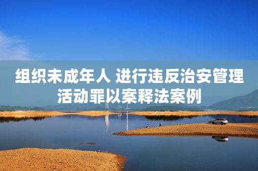 组织未成年人 进行违反治安管理活动罪以案释法案例