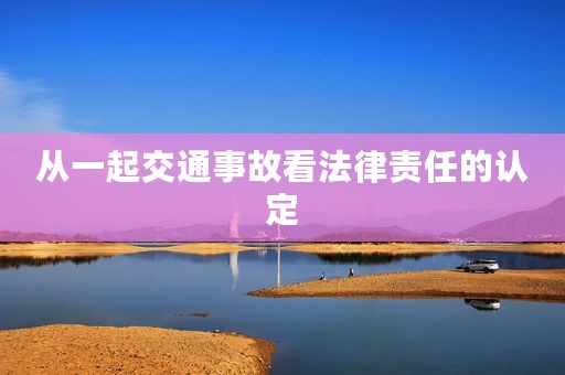 从一起交通事故看法律责任的认定
