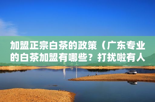 加盟正宗白茶的政策（广东专业的白茶加盟有哪些？打扰啦有人来回答一下不）