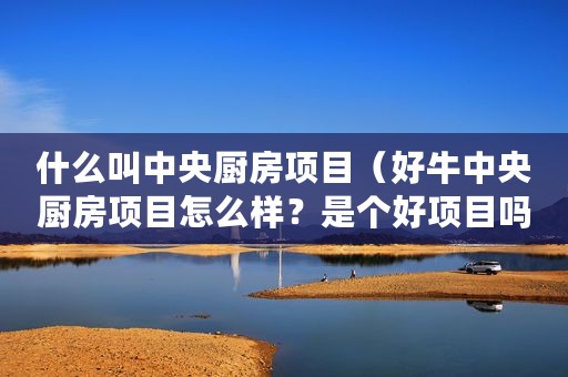 什么叫中央厨房项目（好牛中央厨房项目怎么样？是个好项目吗？）