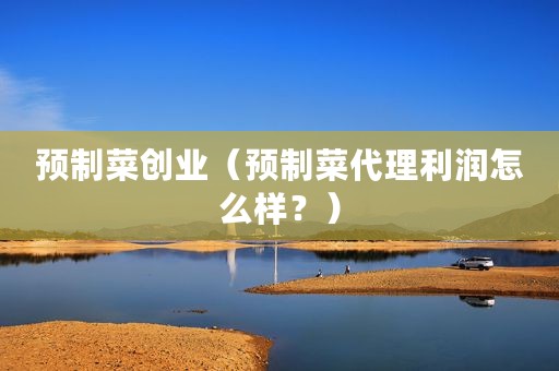 预制菜创业（预制菜代理利润怎么样？）