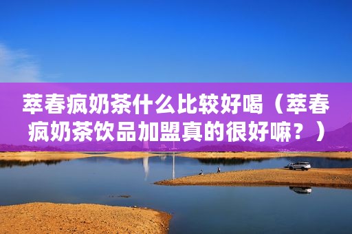 萃春疯奶茶什么比较好喝（萃春疯奶茶饮品加盟真的很好嘛？）