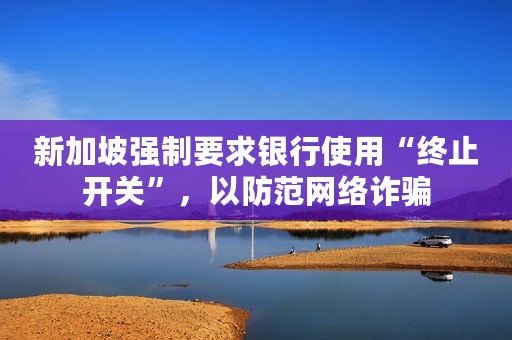 新加坡强制要求银行使用“终止开关”，以防范网络诈骗