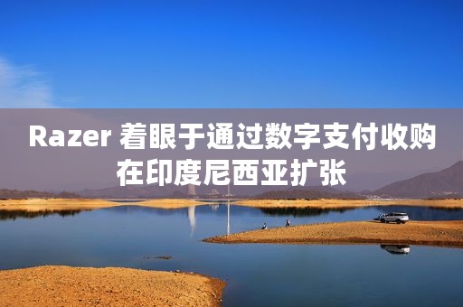 Razer 着眼于通过数字支付收购在印度尼西亚扩张
