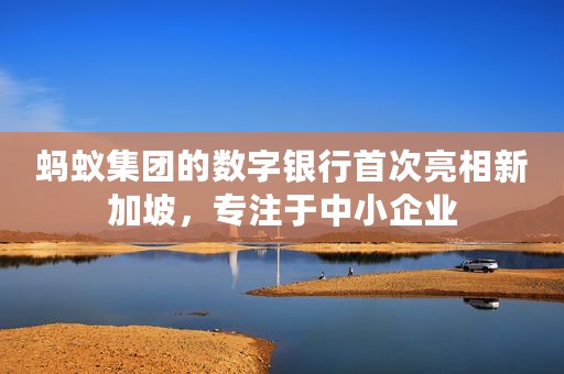 蚂蚁集团的数字银行首次亮相新加坡，专注于中小企业