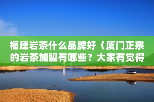 福建岩茶什么品牌好（厦门正宗的岩茶加盟有哪些？大家有觉得不错的吗？）